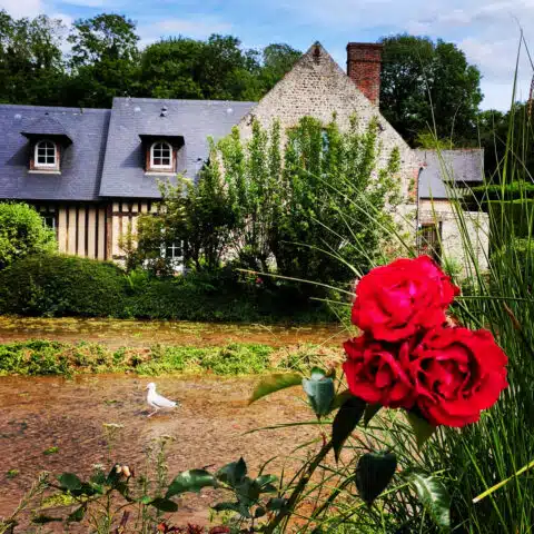 champs-cresson-veules-les-roses