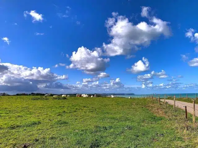 Sotteville-sur-Mer-8