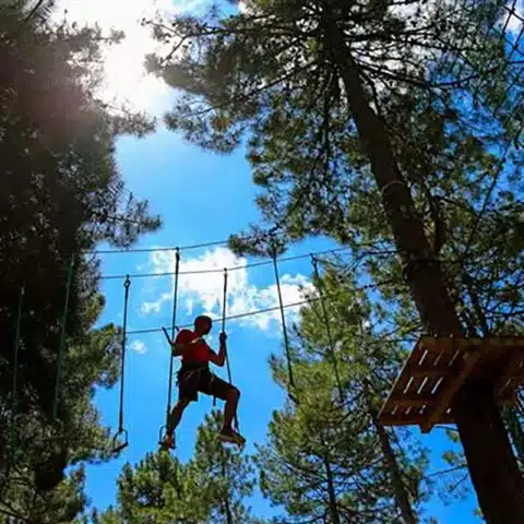 parc-accrobranche