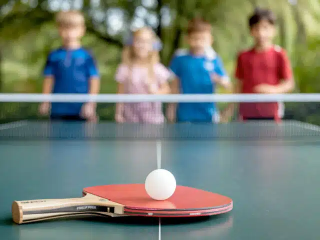 pingpong